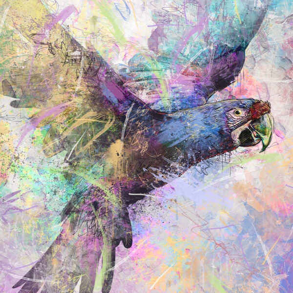 Fliegender Papagei Wandbild – Bild 3