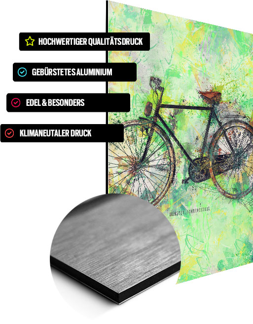 Wandbild Münster Fahrrad Grün auf Alu-Dibond