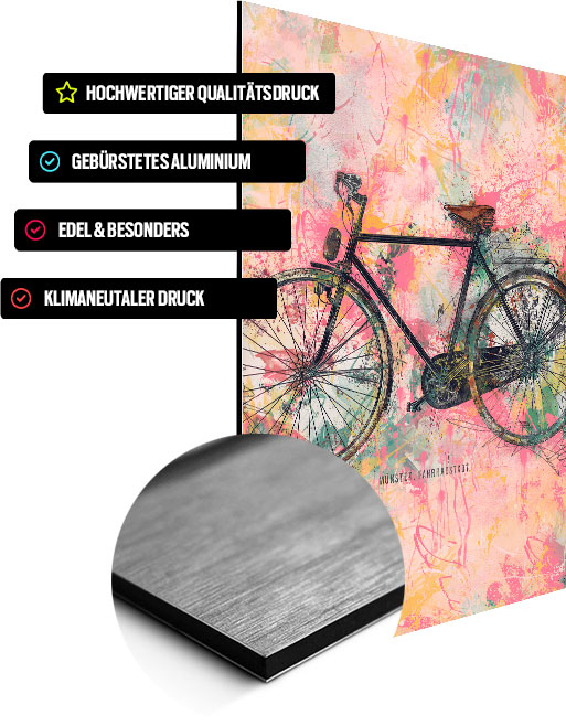 Wandbild Münster Fahrrad Rosa auf Alu-Dibond